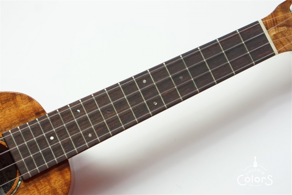 HK-PL 1st Anniversary